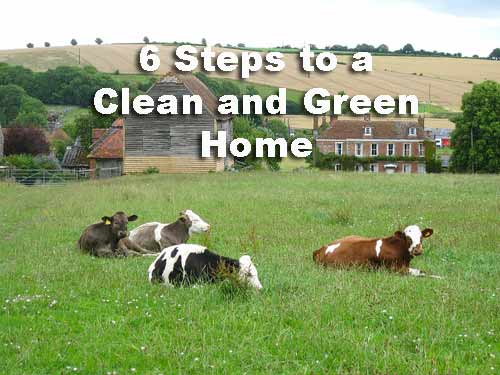 6-Steps-to-a-Clean-and-Gree
